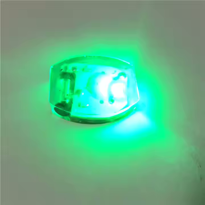 LED Costume Light