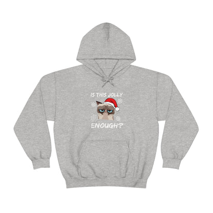 Is This Jolly Enough? - Unisex Hooded Sweatshirt