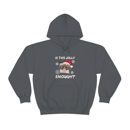 Is This Jolly Enough? - Unisex Hooded Sweatshirt